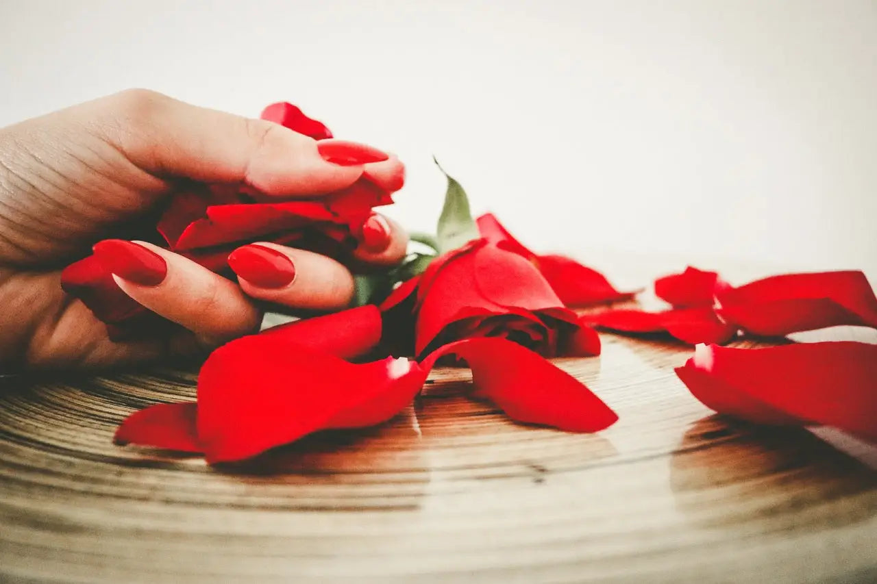 Een hand met rode nagellak houdt zachte karmozijnrode rozenblaadjes vast op een houten oppervlak.