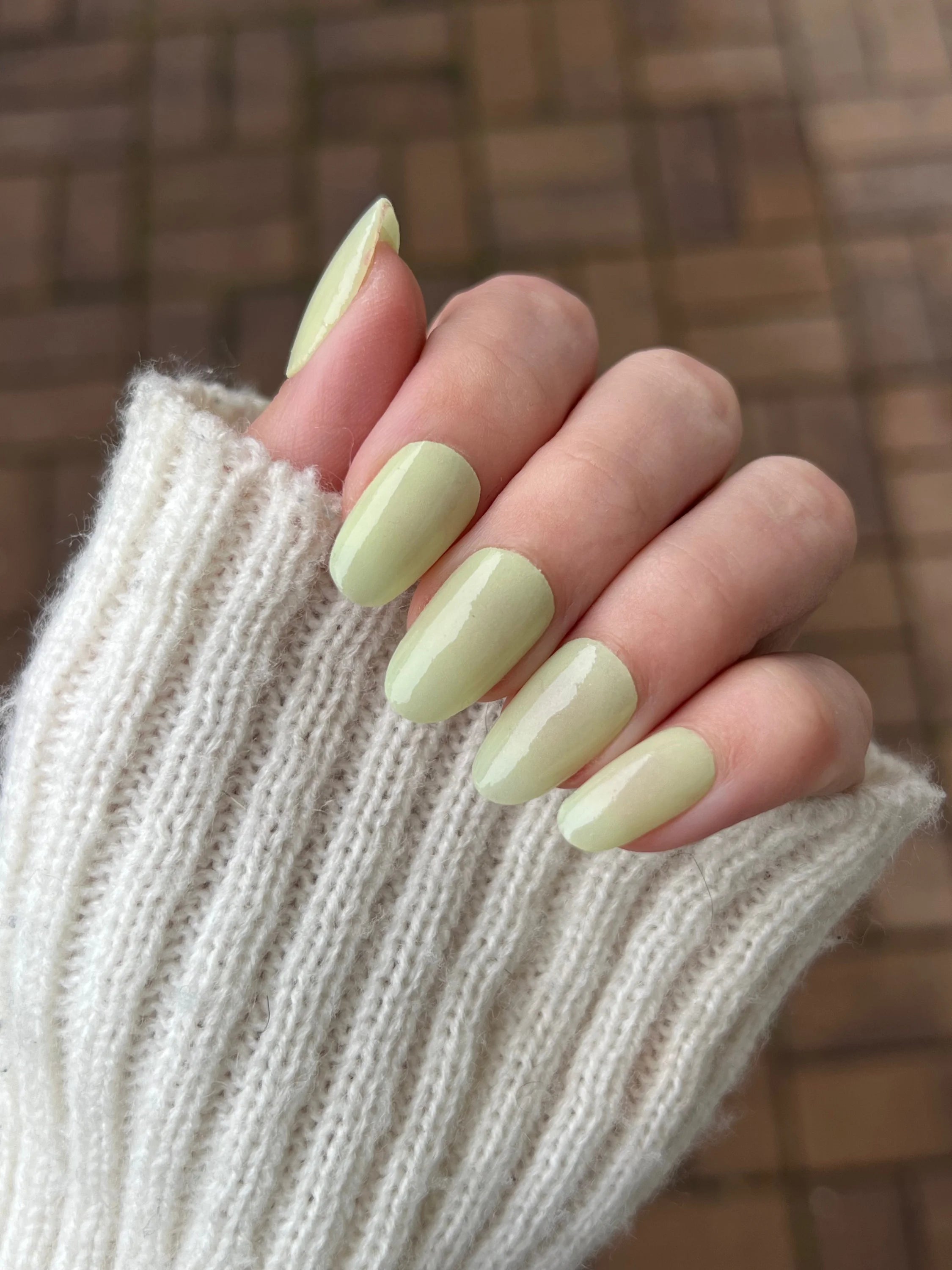 Lente Bundel - 5 Nieuwe Kleuren